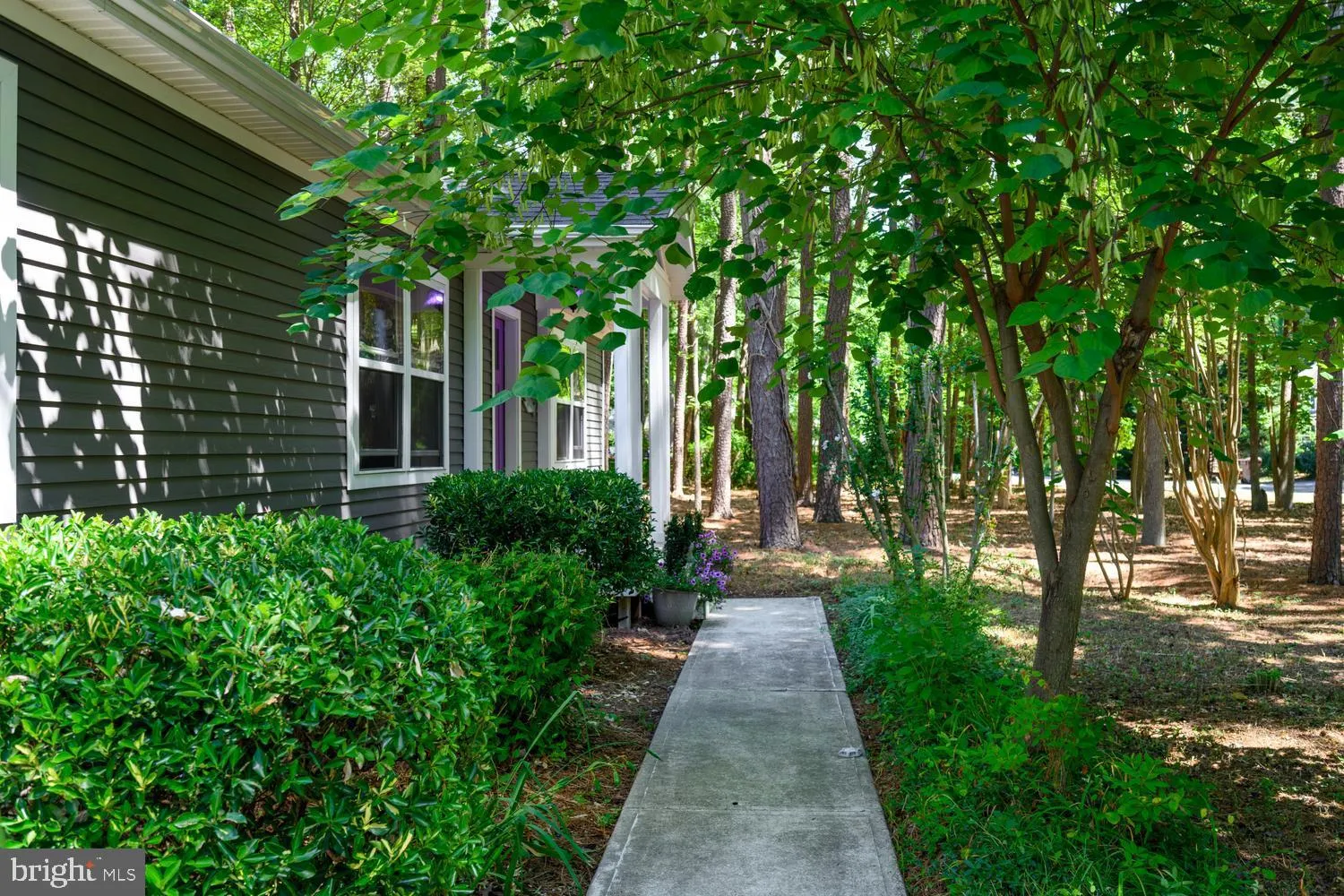 Additional image 74 of 225 Tyler Avenue, Saint Michaels, MD 21663