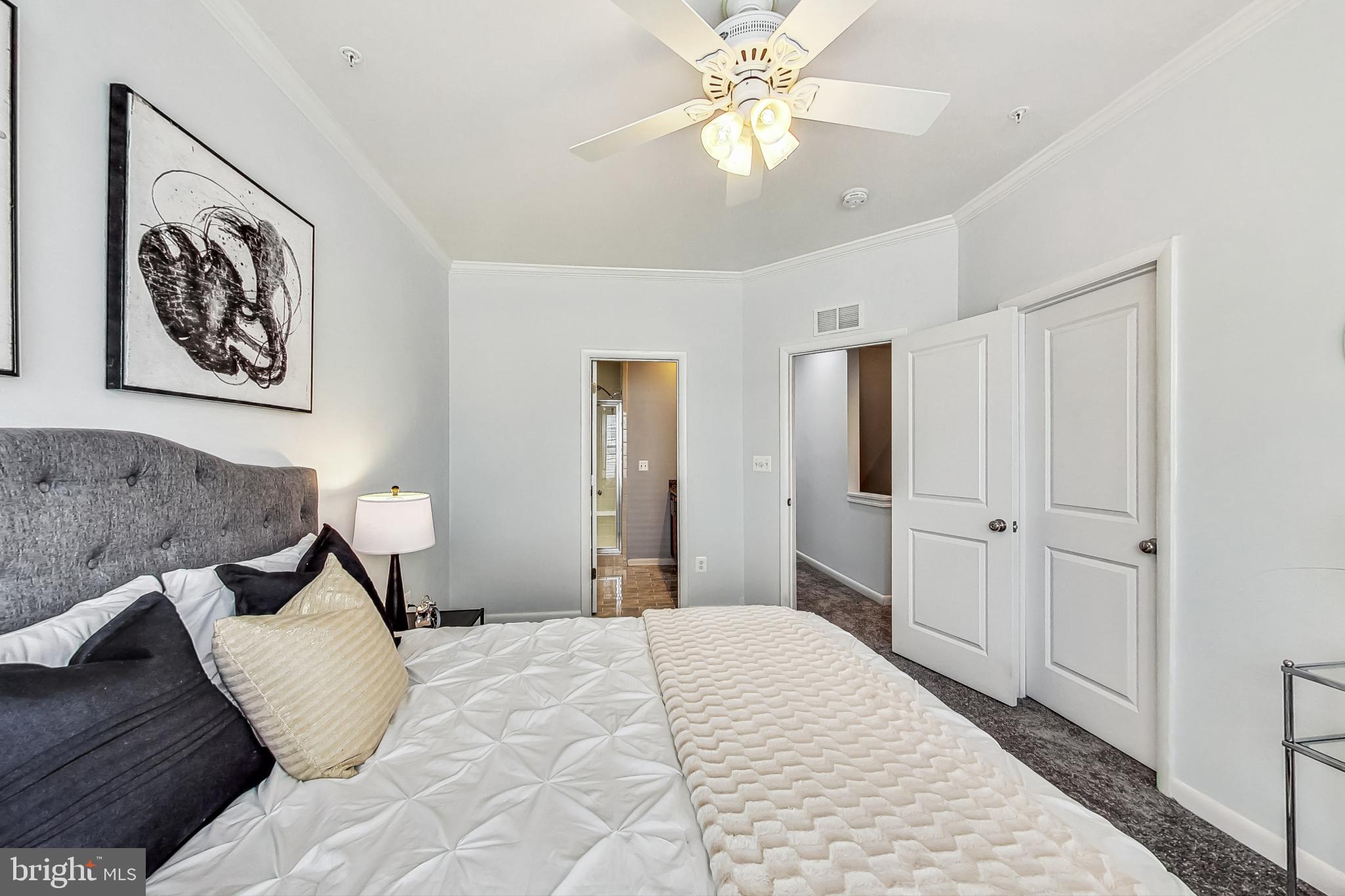 HYATTSVILLE ARTS DISTRICT - Residential