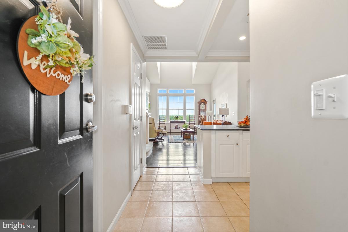 31 BOOTH STREET 459
