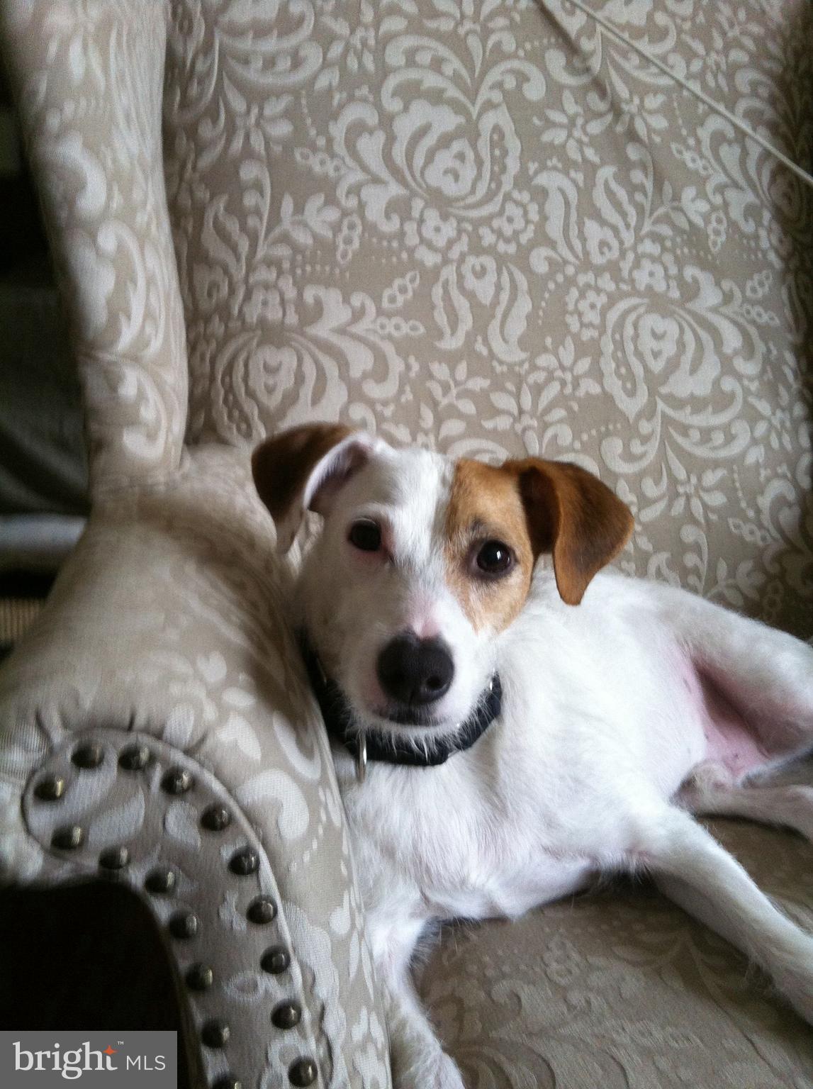 LOGAN CIRCLE - Residential