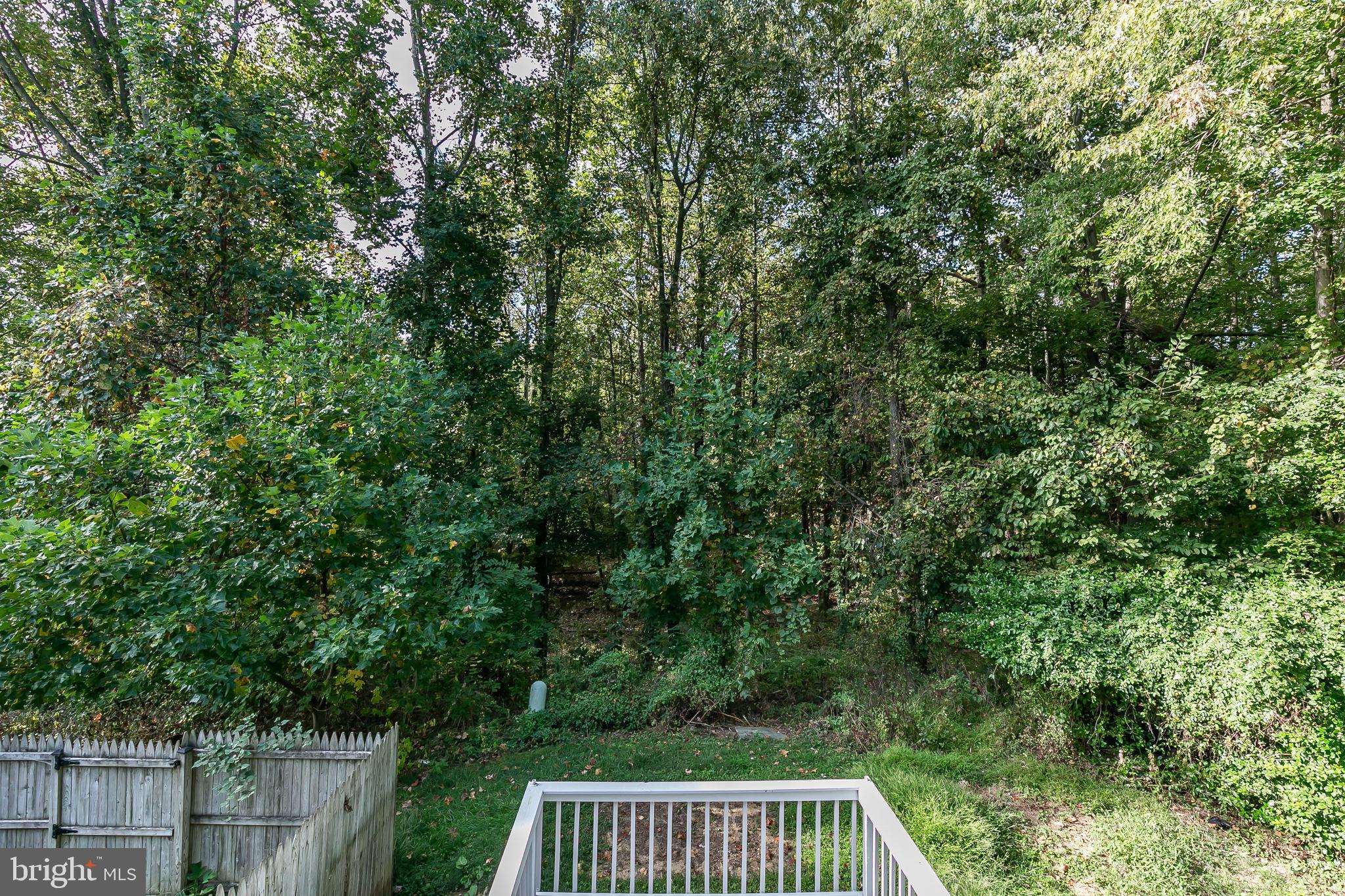 BELMONT SOUTH - Residential