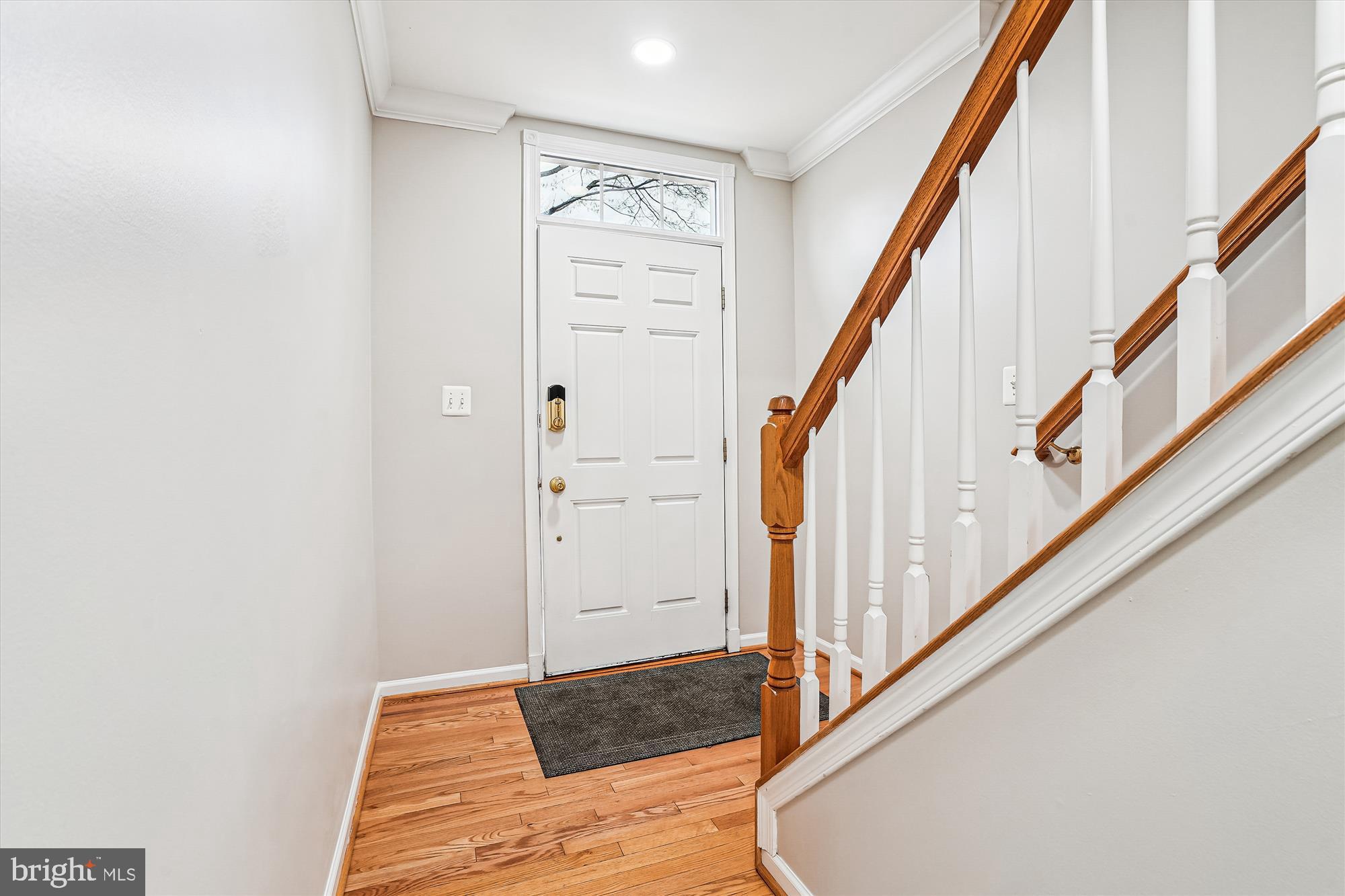 AMBERLEA AT SOUTH RIDING - Residential