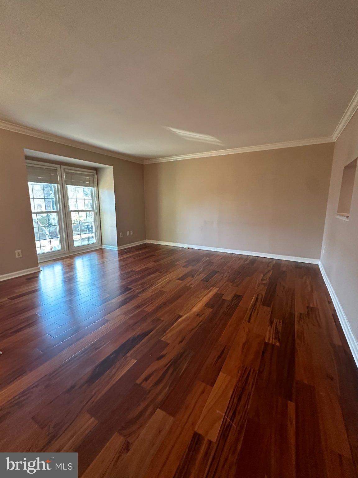 141 ATTIC COURT
