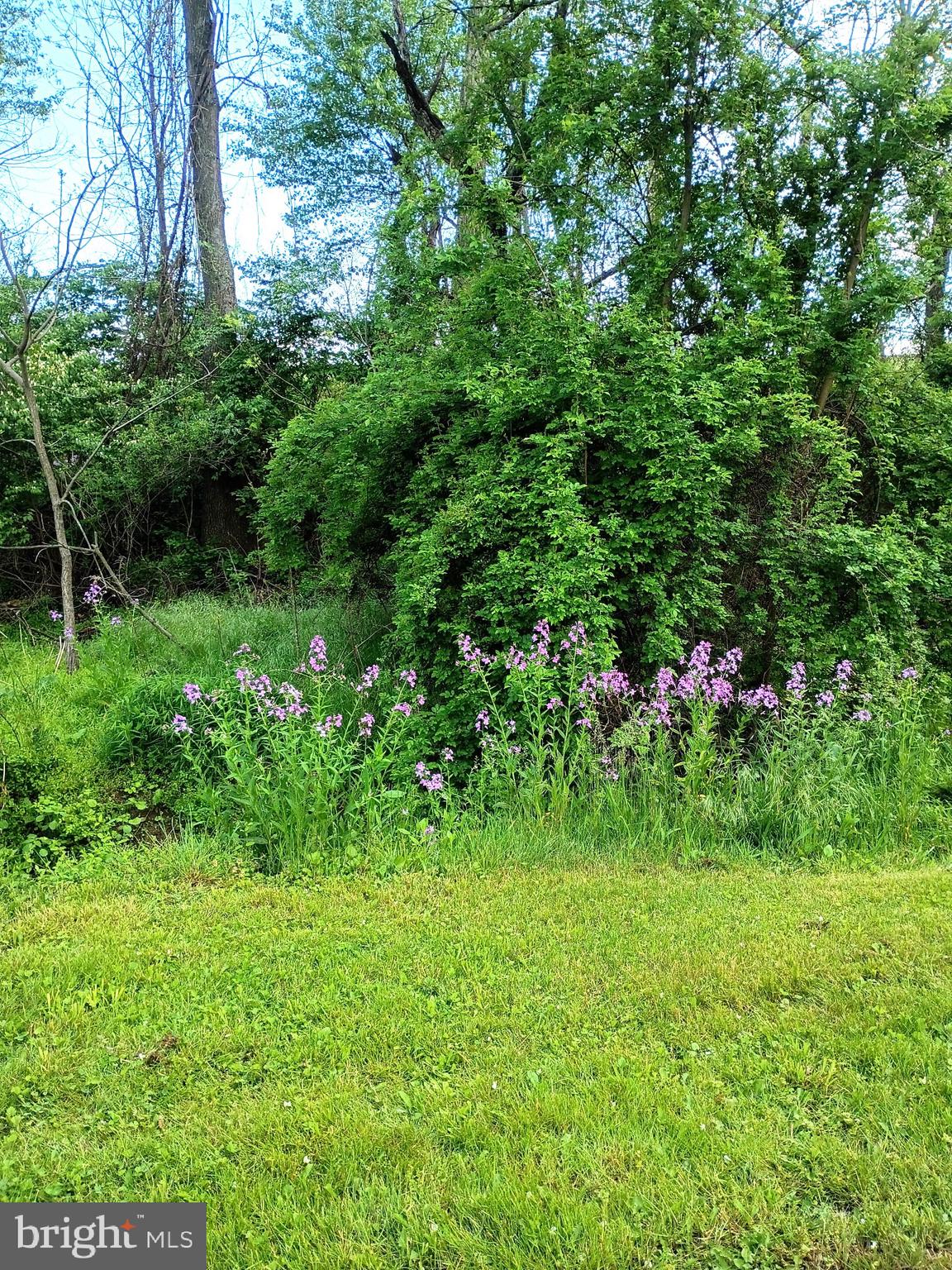 LOWER MIFFLIN TOWNSHIP - Residential