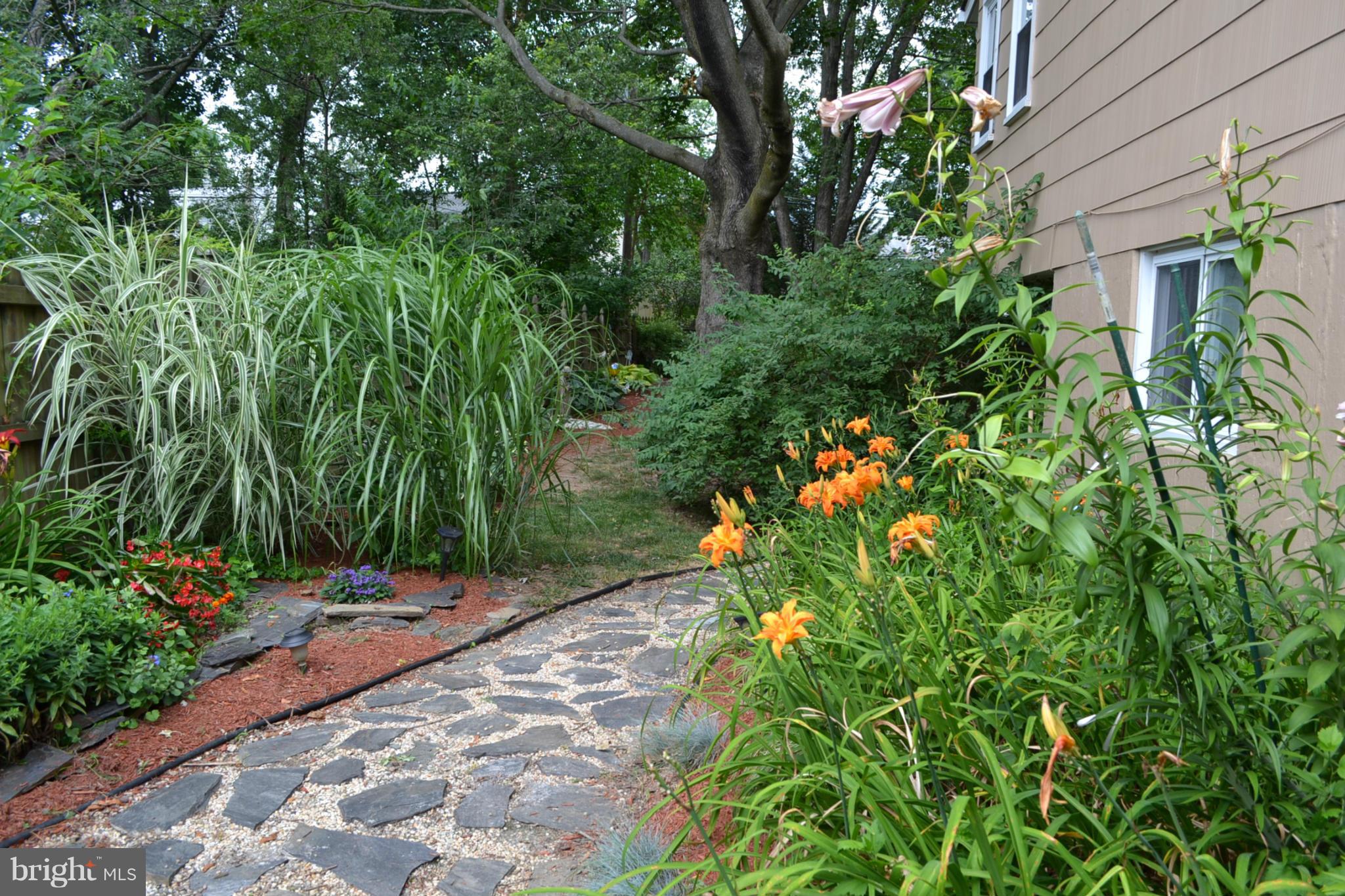 CRANDON - Residential