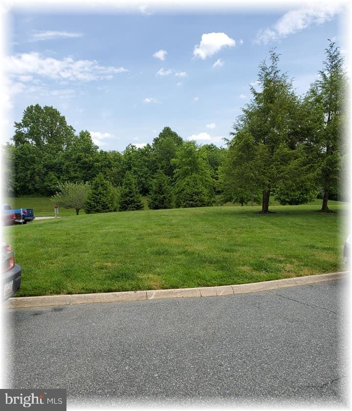 VILLAGE OF THOMAS RUN - Residential