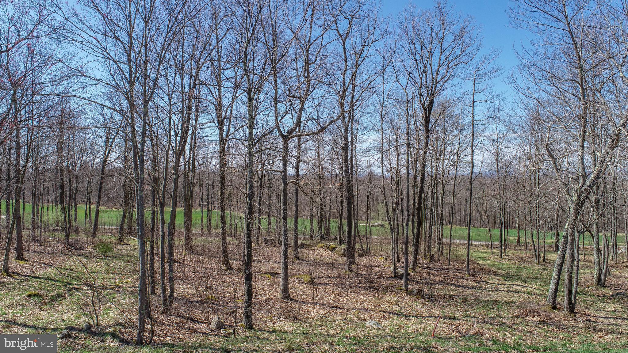 LODESTONE SUB - Land