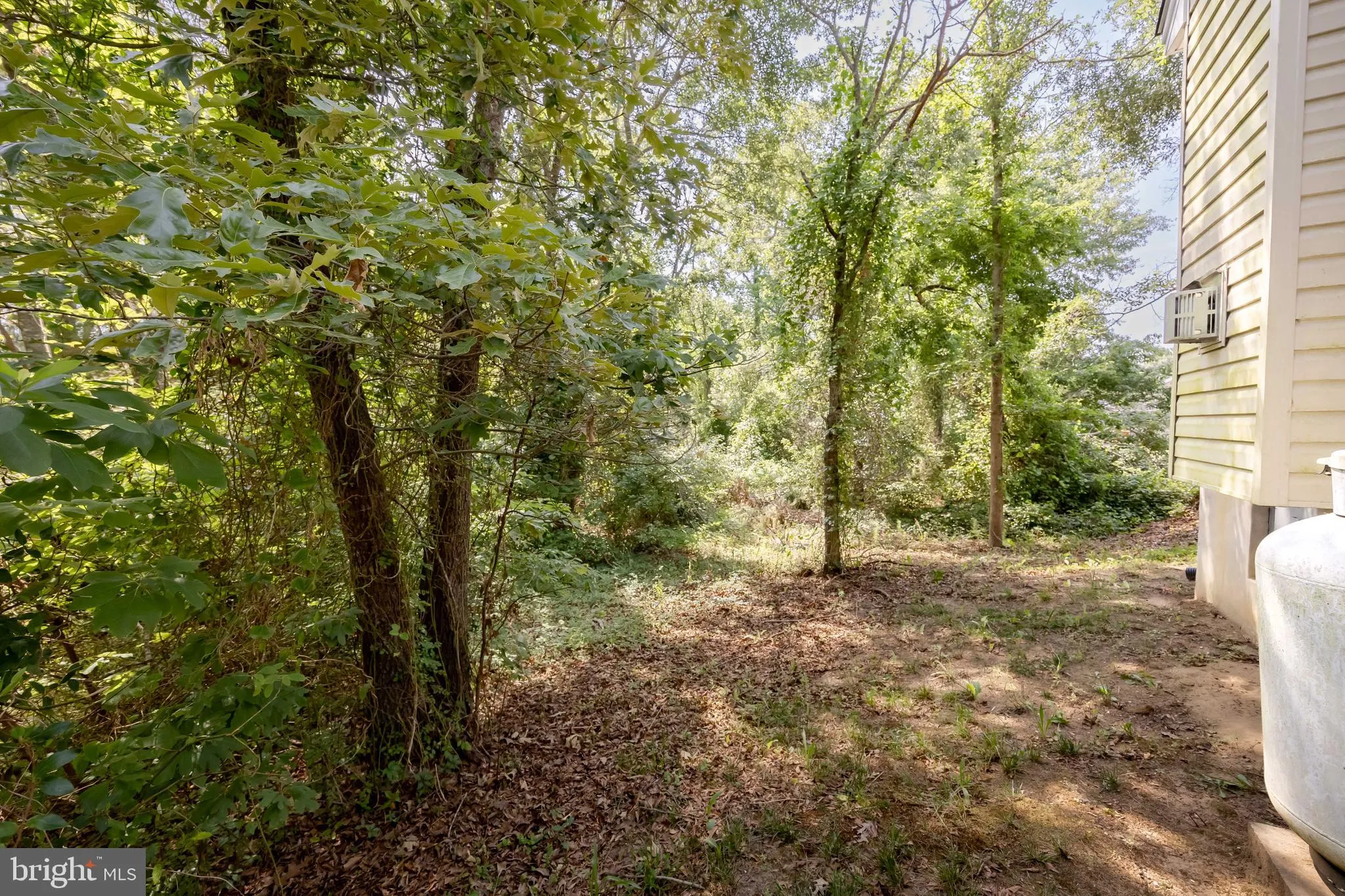 Additional image 107 of 6033 Deer Creek Drive, Pittsville, MD 21850