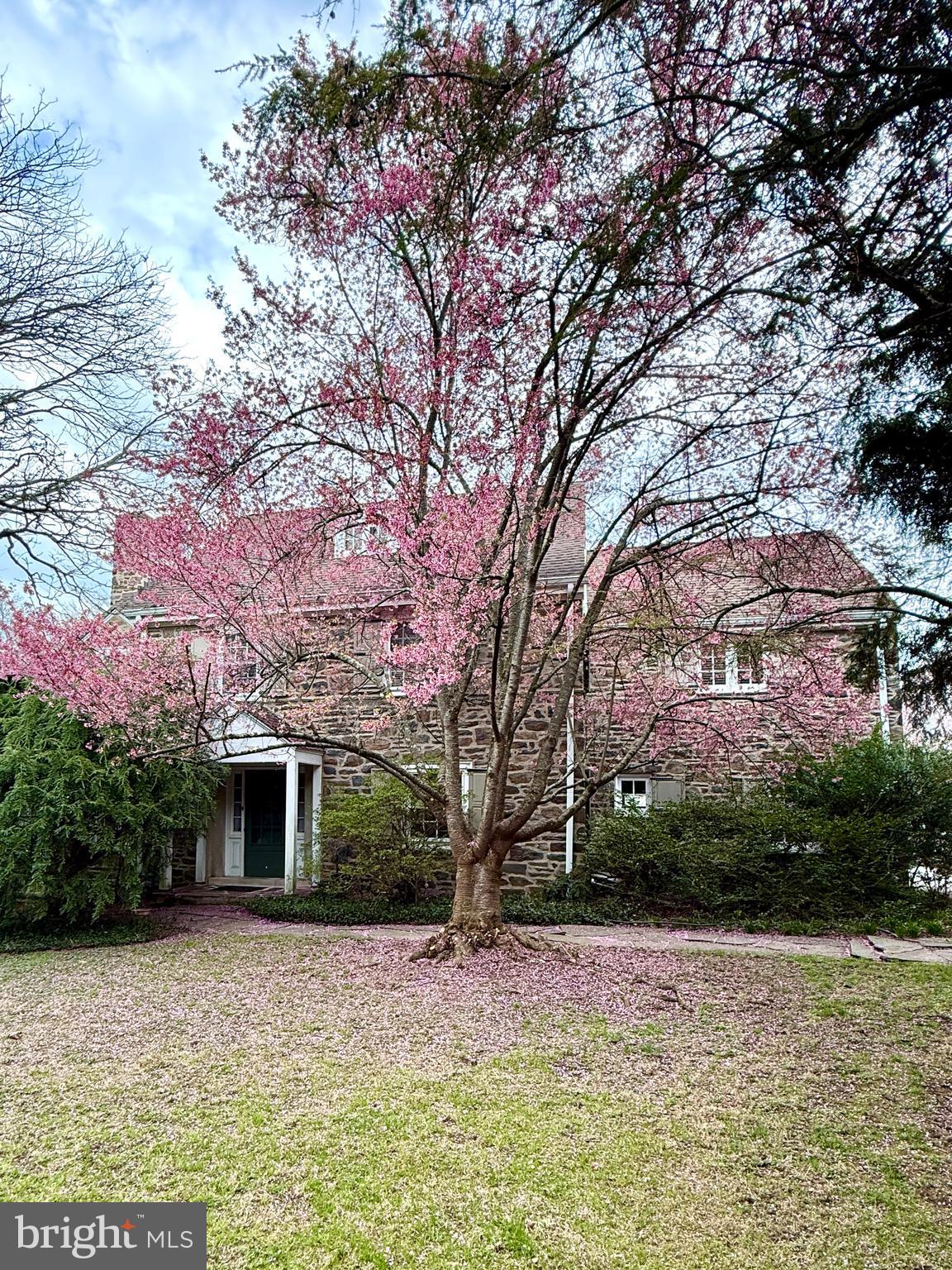 WYNNEWOOD - Residential