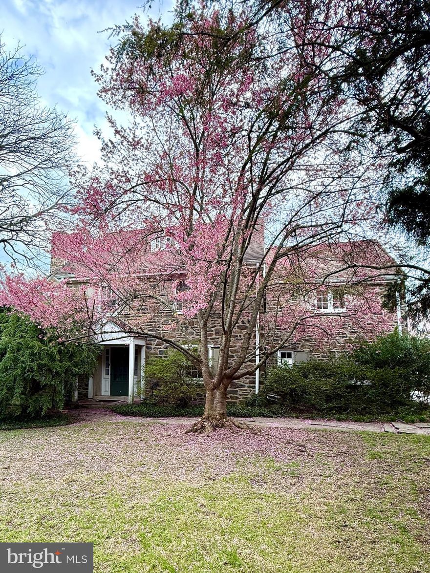 Beautiful, gracious stone colonial on one of Wynnewood's loveliest streets.