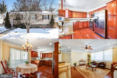 13017 PARKLAND DRIVE ROCKVILLE MD 20853