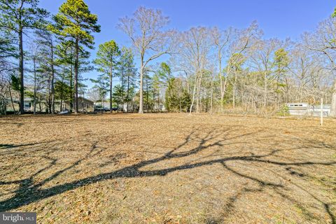 listing image 42