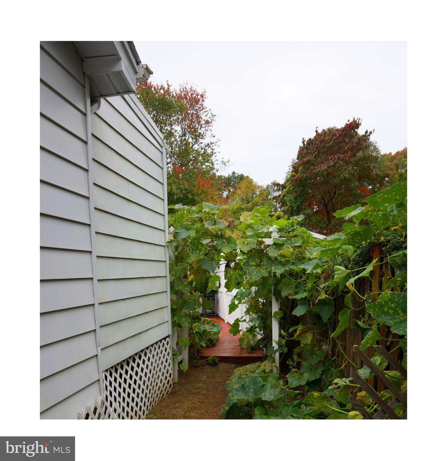 BROOKHAVEN - Residential