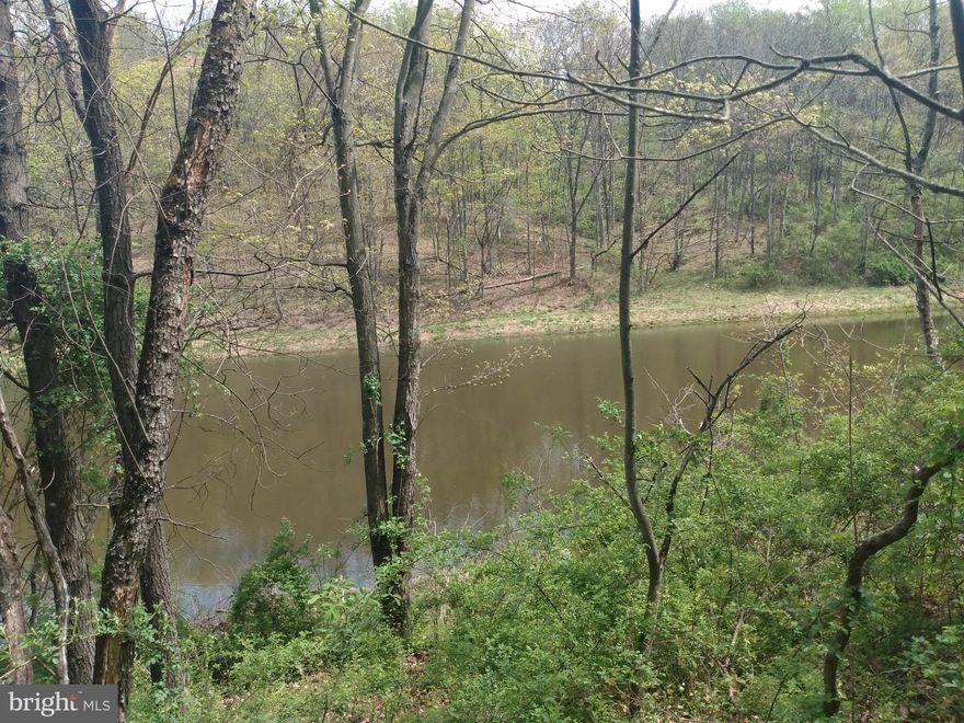 What a Fantastic Building lot! located along a private black top lane, fronting & overlooking a small community lake,  3 bedroom septic system installed but never used. Near 522 for an easy commute and close to the Cacapon State Park and Berkeley Springs for all of your outdoor activities, shopping and culture. Take a look soon before it's gone, gone, gone!