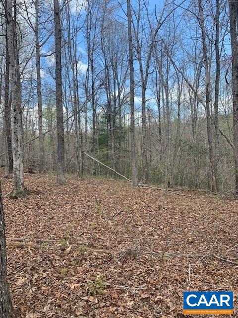 SHENANDOAH CROSSING - Land