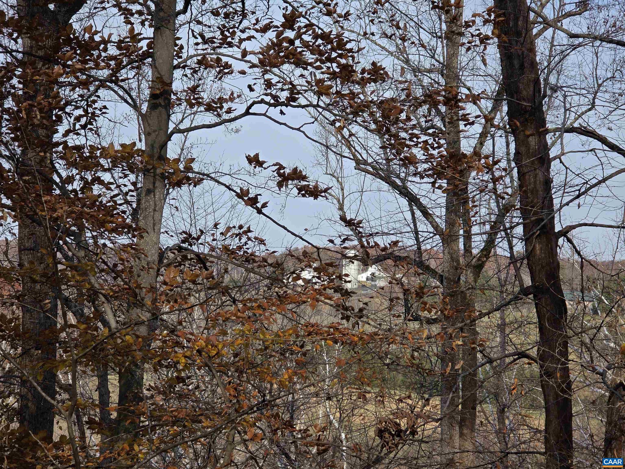 LAKE MONTICELLO - Residential