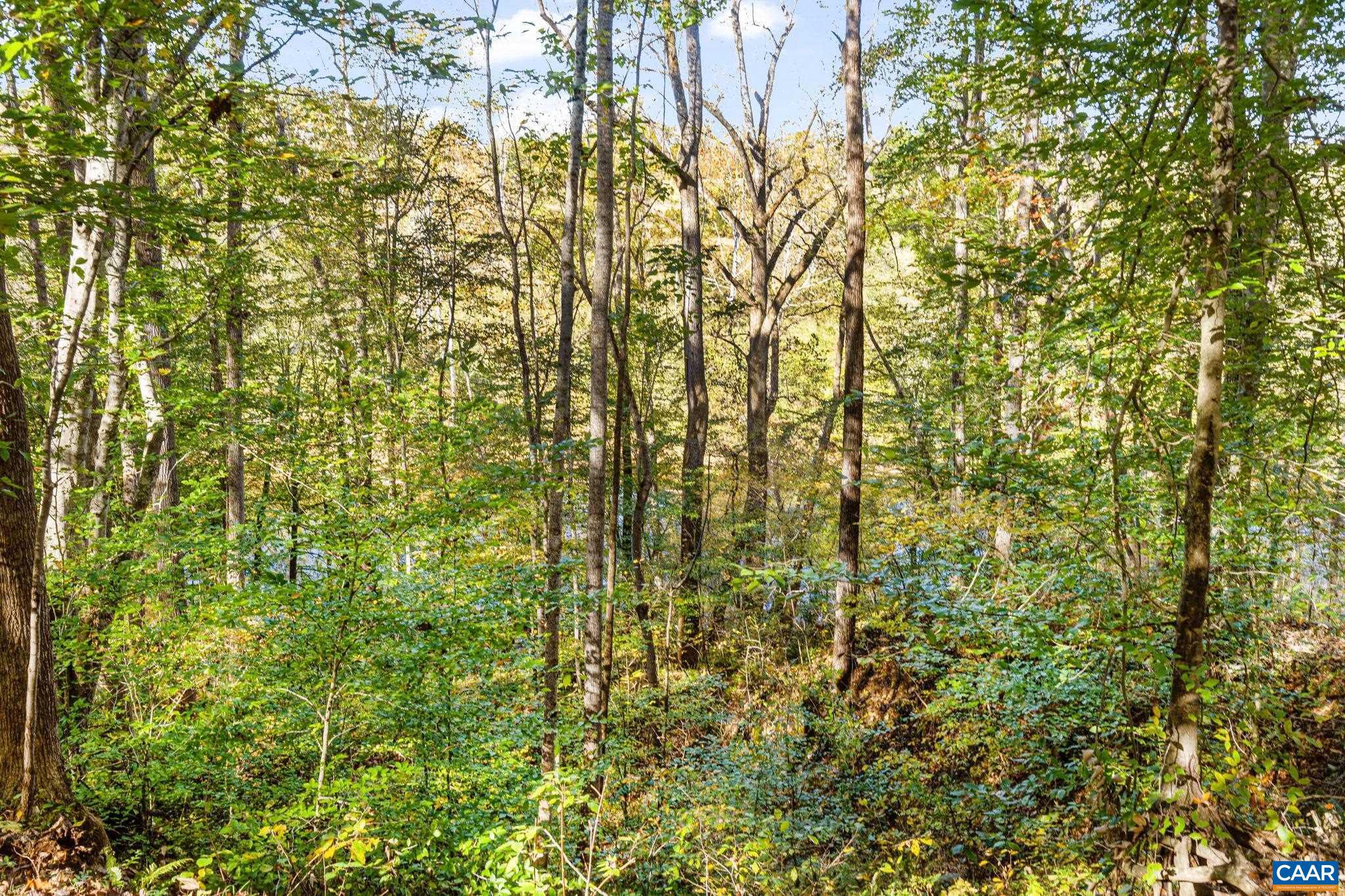 LAKE MONTICELLO - Residential