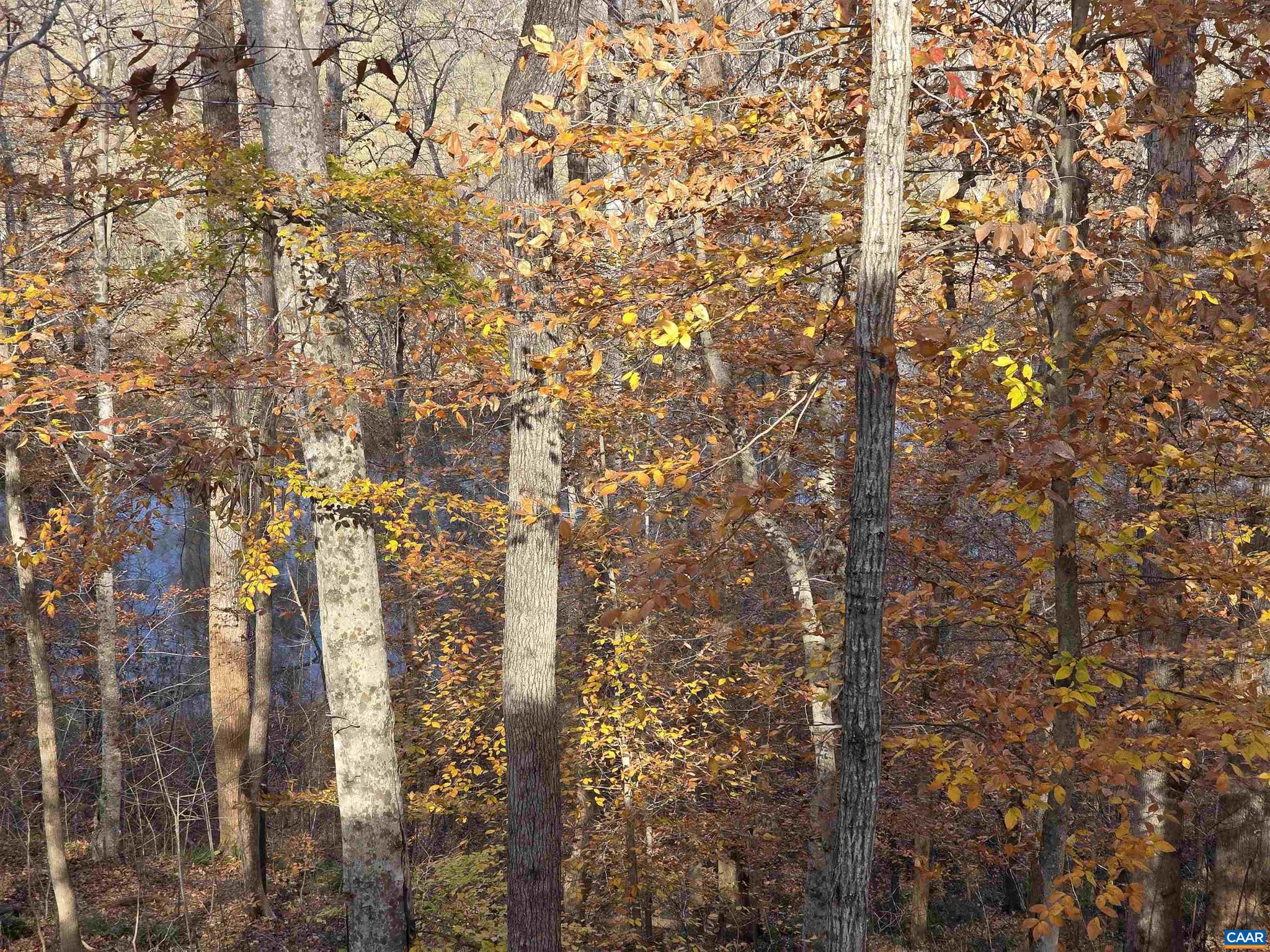 LAKE MONTICELLO - Residential