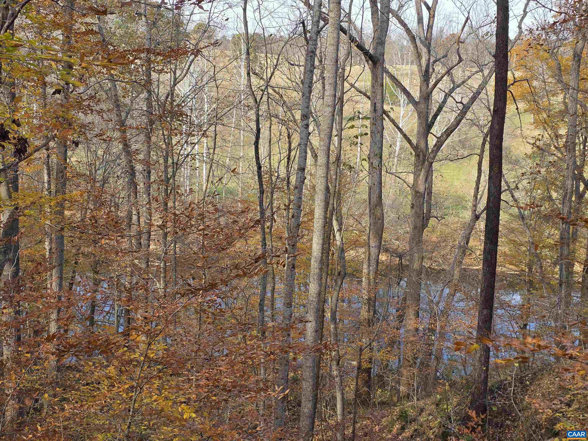 LAKE MONTICELLO - Residential