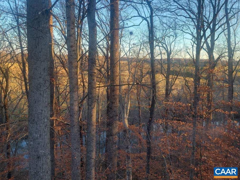 LAKE MONTICELLO - Residential