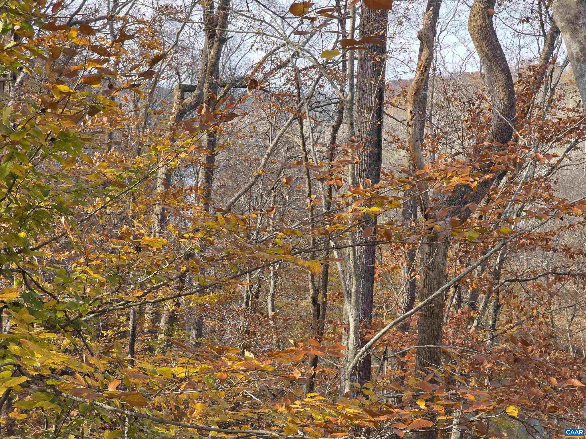 LAKE MONTICELLO - Residential