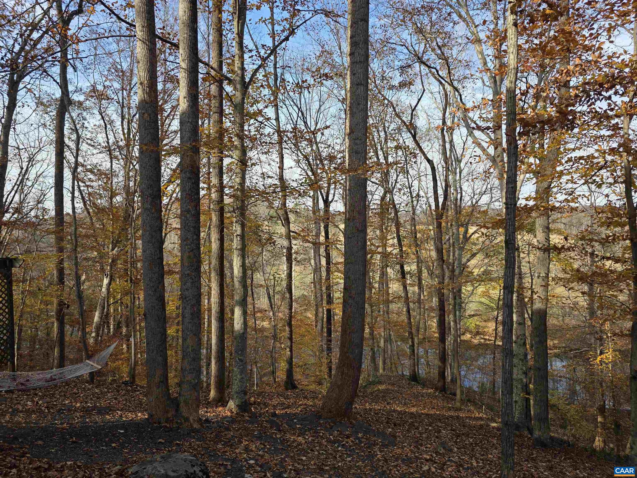 LAKE MONTICELLO - Residential