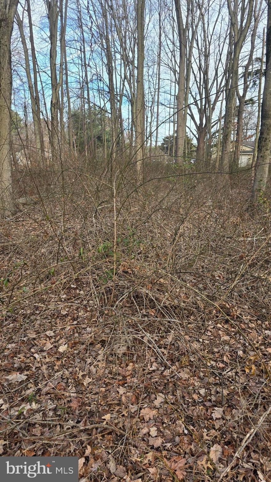 2 1/2 lots combined into single 1/2 acre building site .  Sewer available in April