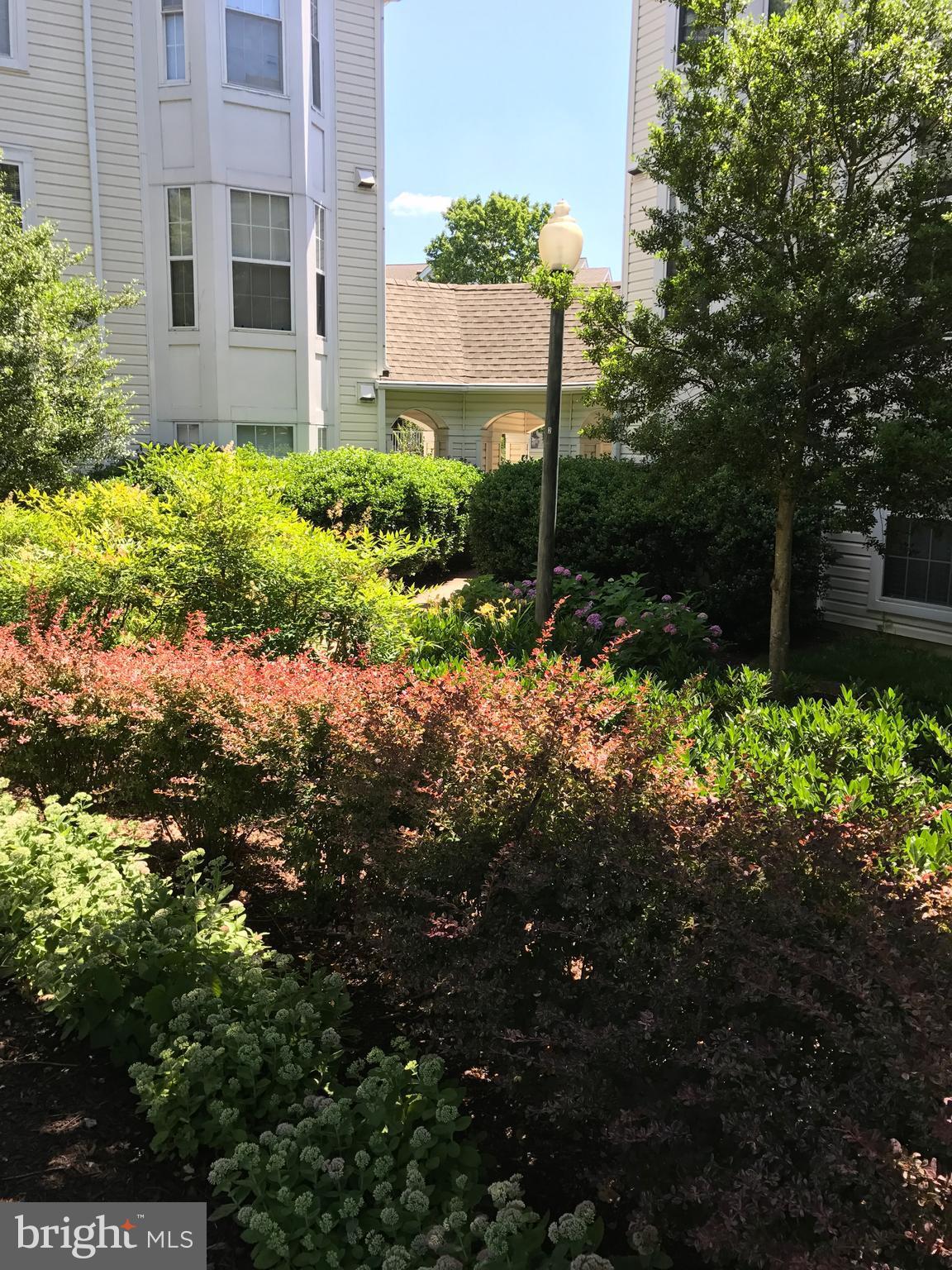 BRISTOL GREEN - Residential