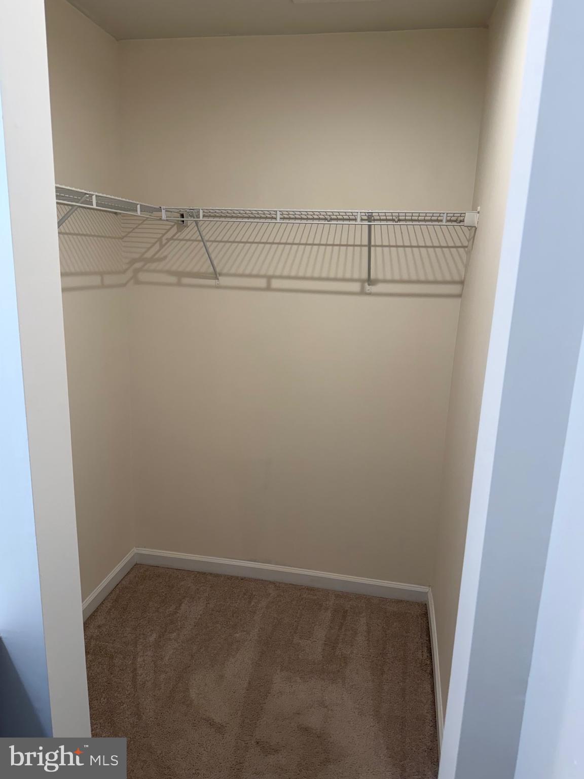 RIDGELY FOREST - Residential