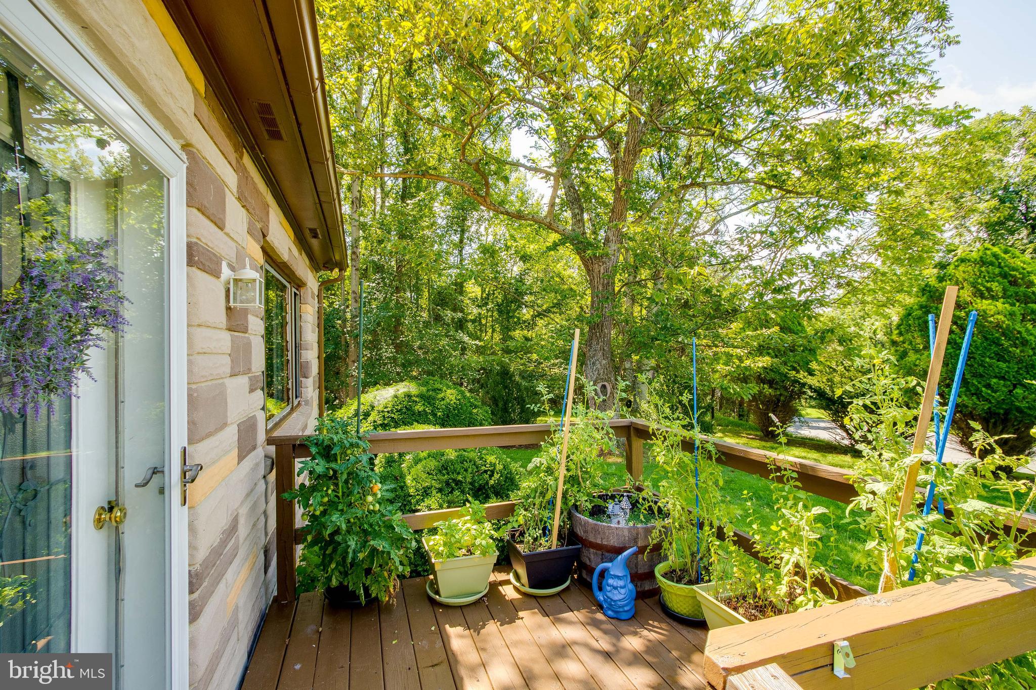 TAYLORSTOWN - Residential