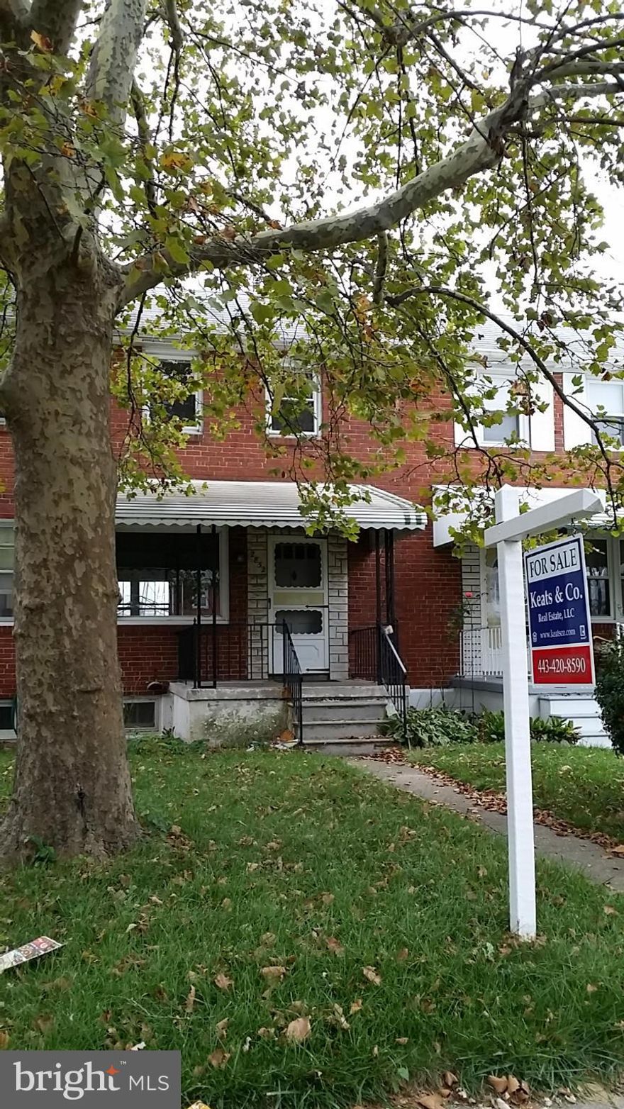 "Tree Lined Treasure!" Beautiful home on a street lined with mature trees. Super convenient location close to everything. Just down the street from a large open field. The home offers fresh paint and brilliant hardwood flooring. Covered front porch area and rear porch are as well. The back yard can be your own oasis with a large deck area! Come take a look and bring your best offer!