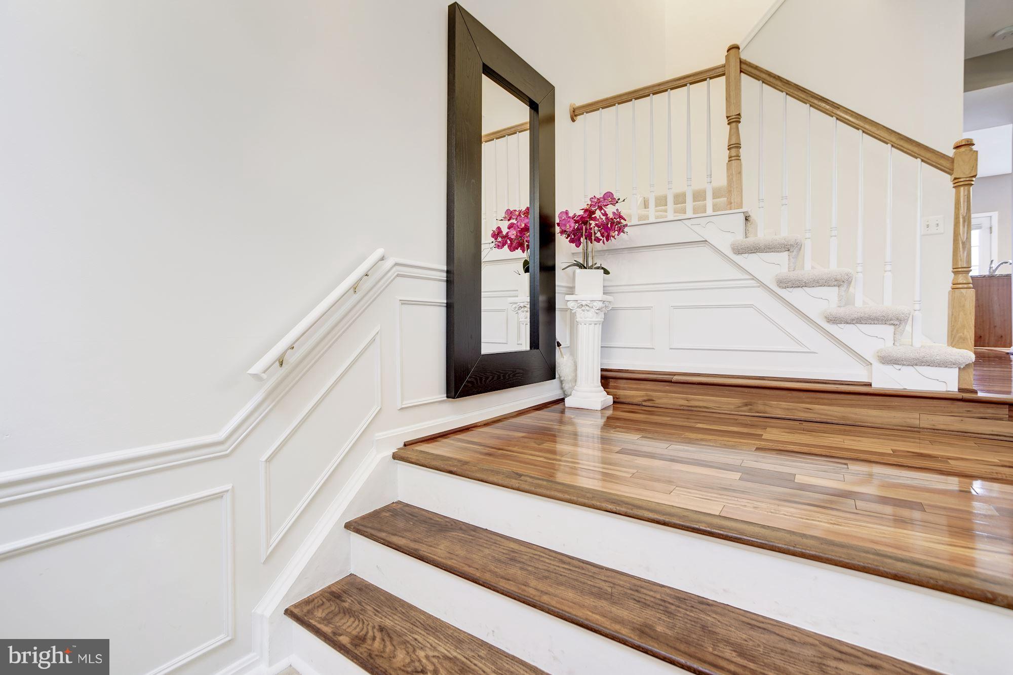 ISLAND CREEK - Residential