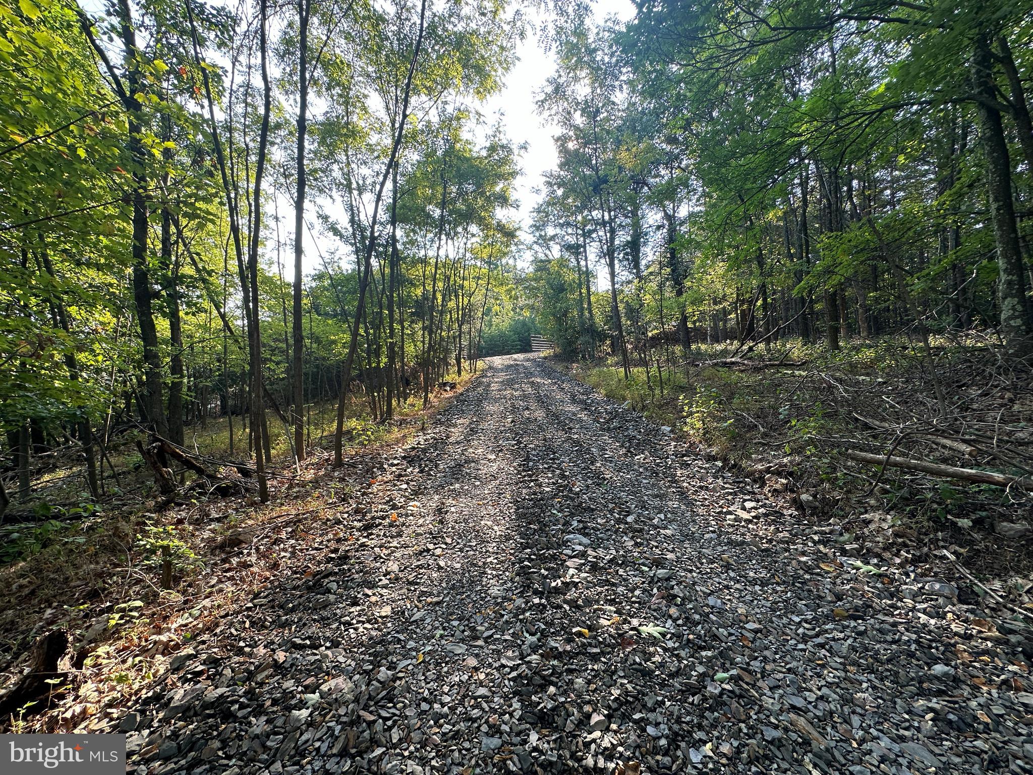 STONY MOUNTAIN LODGE - Land