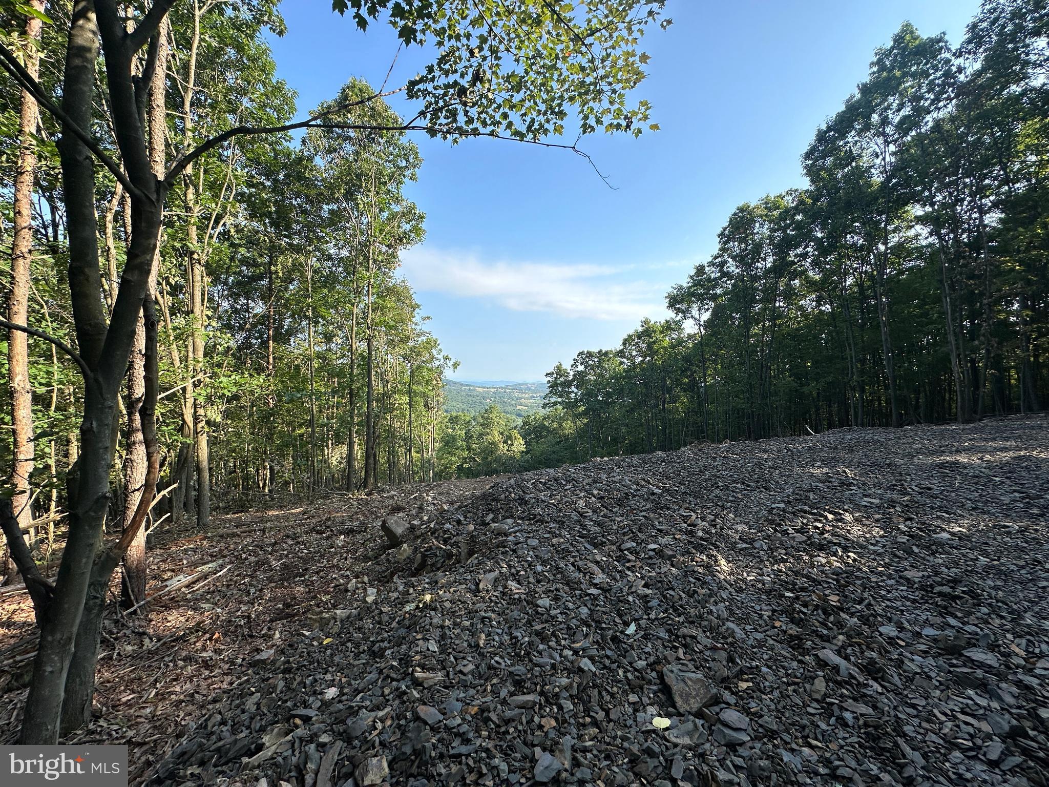 STONY MOUNTAIN LODGE - Land