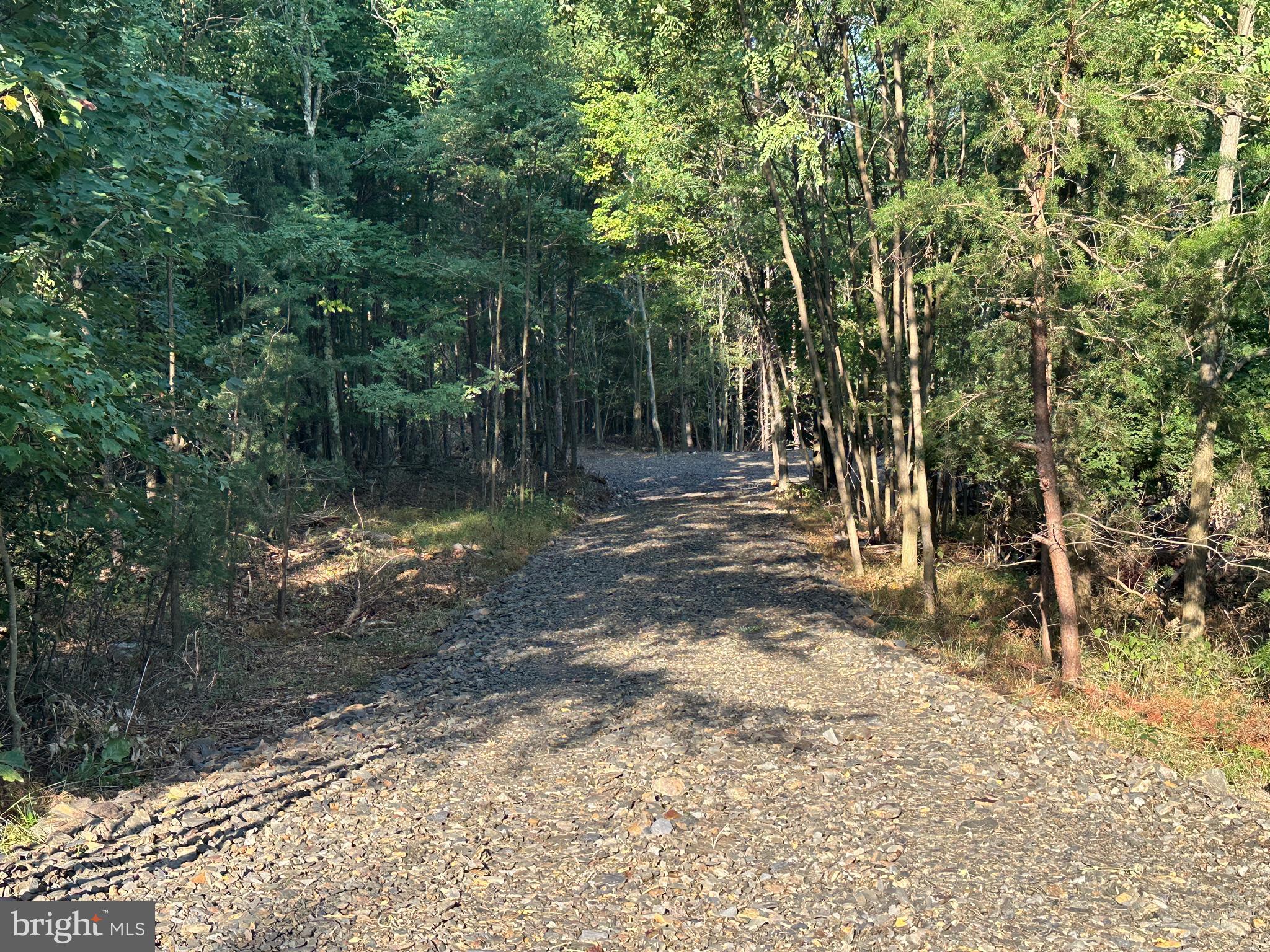 STONY MOUNTAIN LODGE - Land