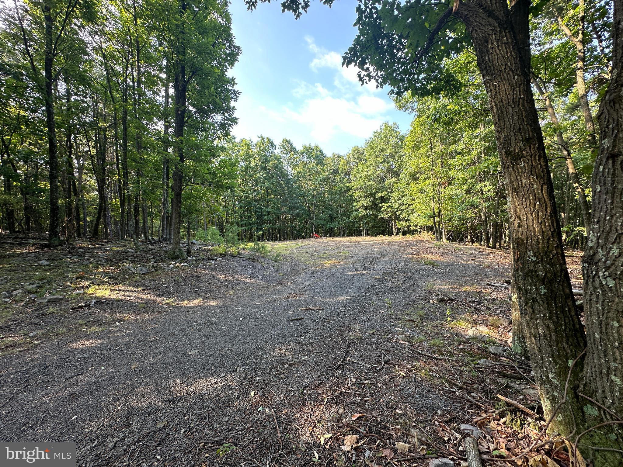 STONY MOUNTAIN LODGE - Land