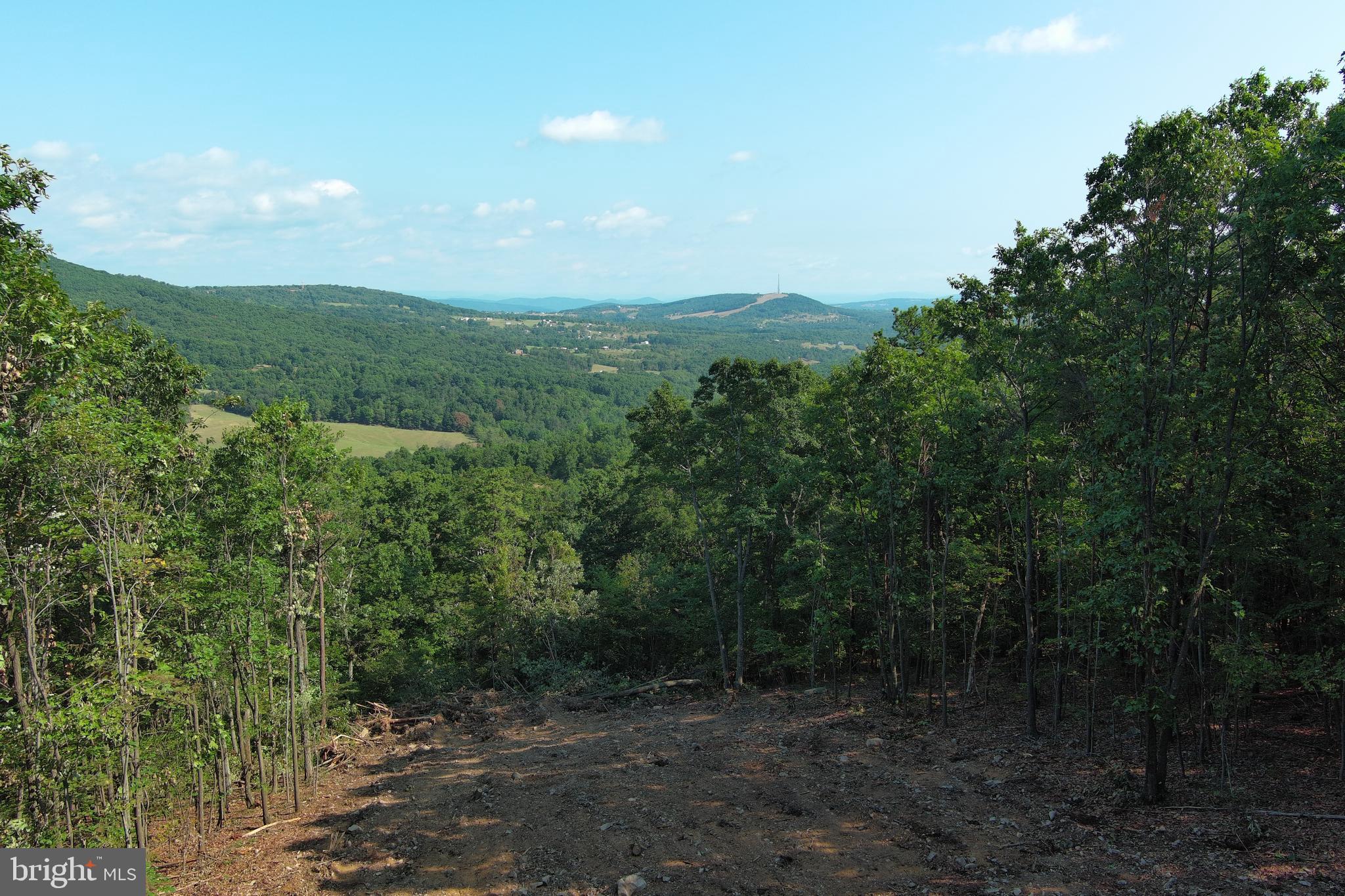 STONY MOUNTAIN LODGE - Land