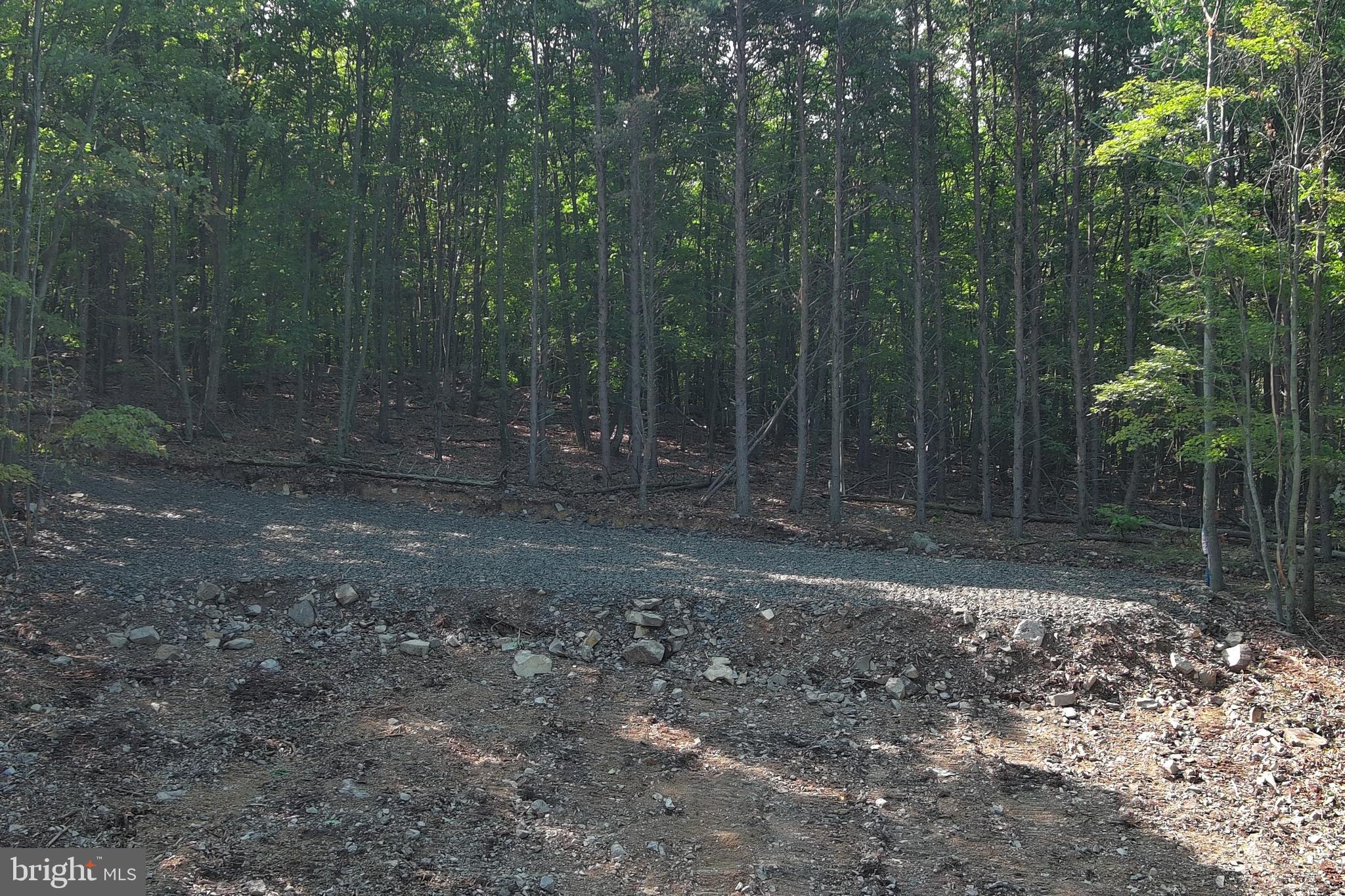 STONY MOUNTAIN LODGE - Land