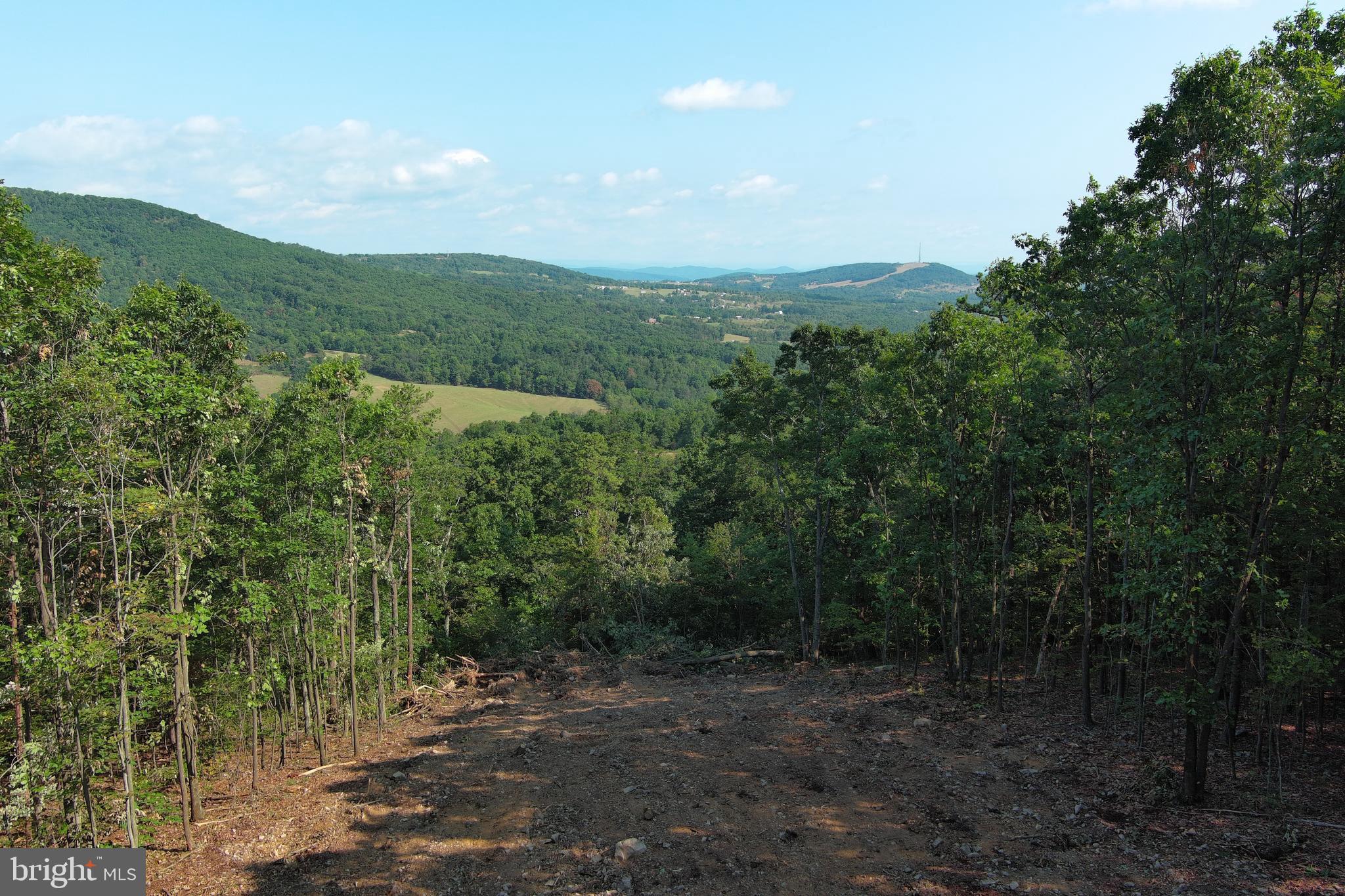 STONY MOUNTAIN LODGE - Land