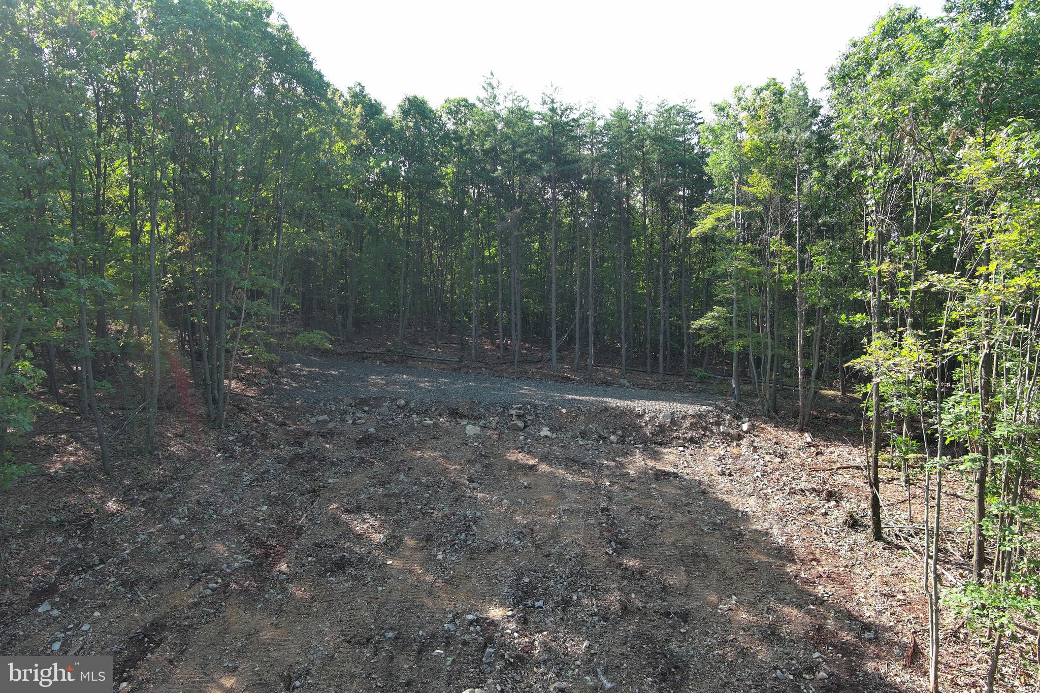 STONY MOUNTAIN LODGE - Land