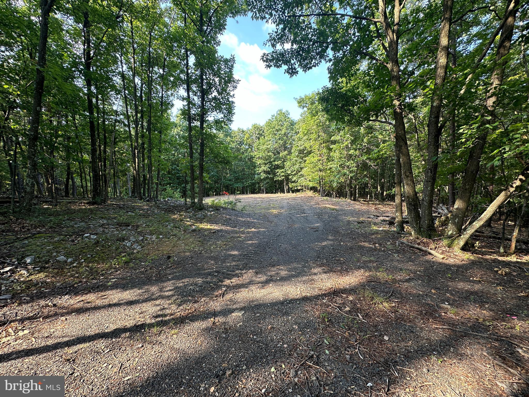 STONY MOUNTAIN LODGE - Land