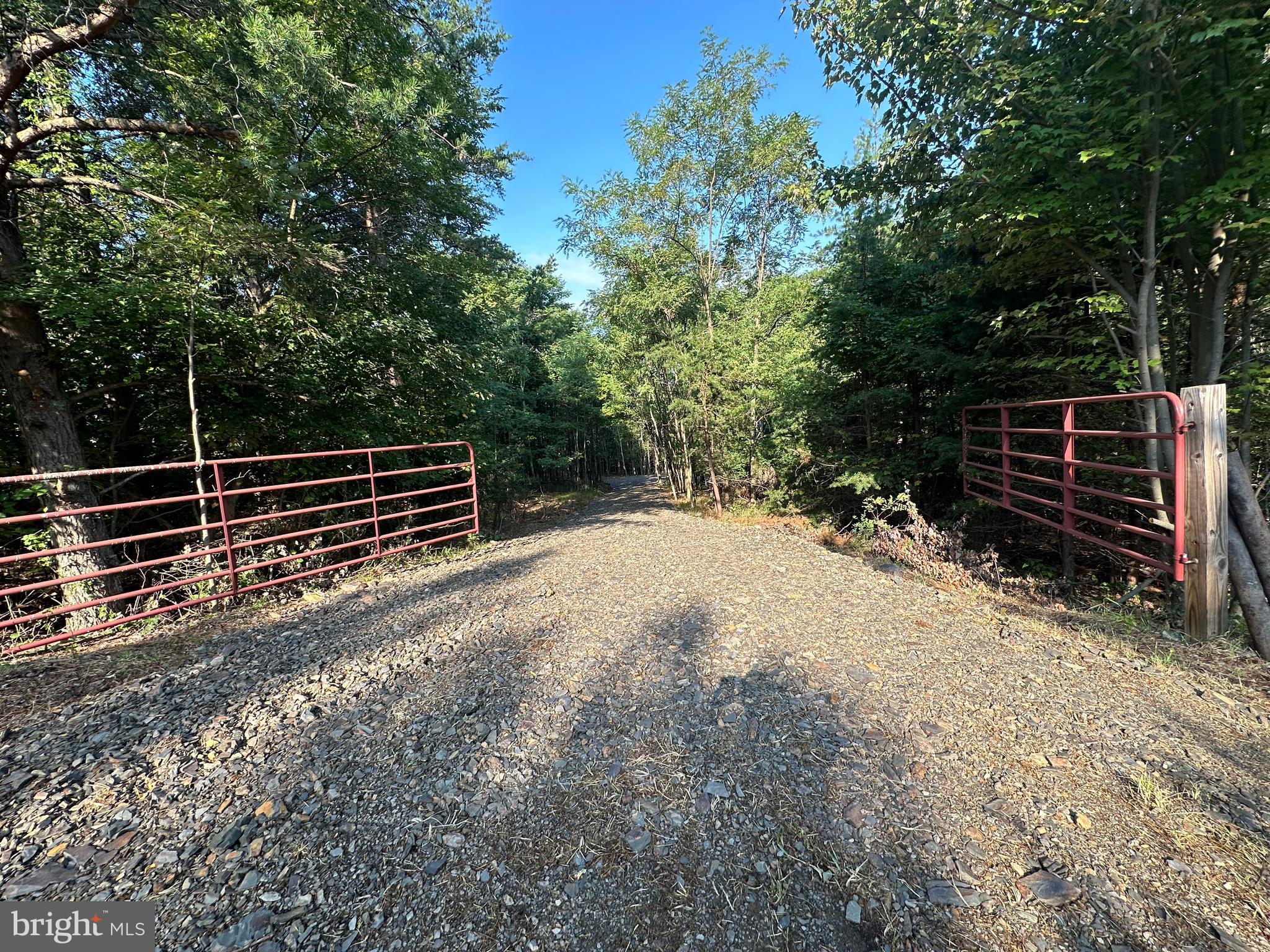 STONY MOUNTAIN LODGE - Land
