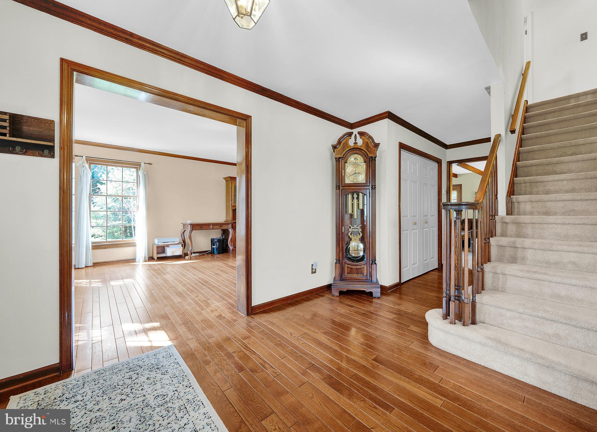 OLD MILL ESTS - Residential