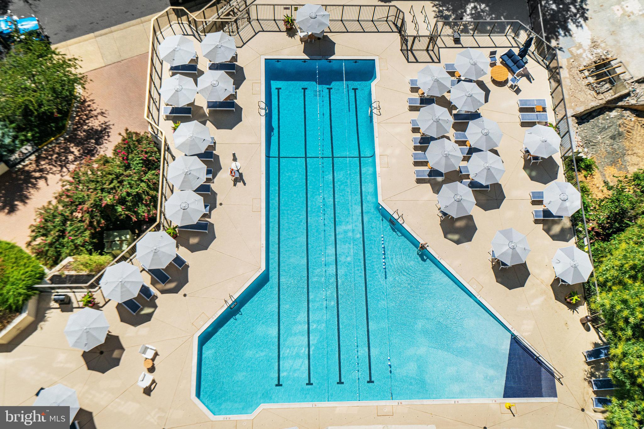 BELVEDERE CONDOMINIUM - Residential Lease