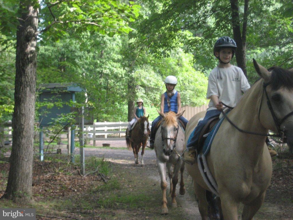 LAKE OF THE WOODS - Residential