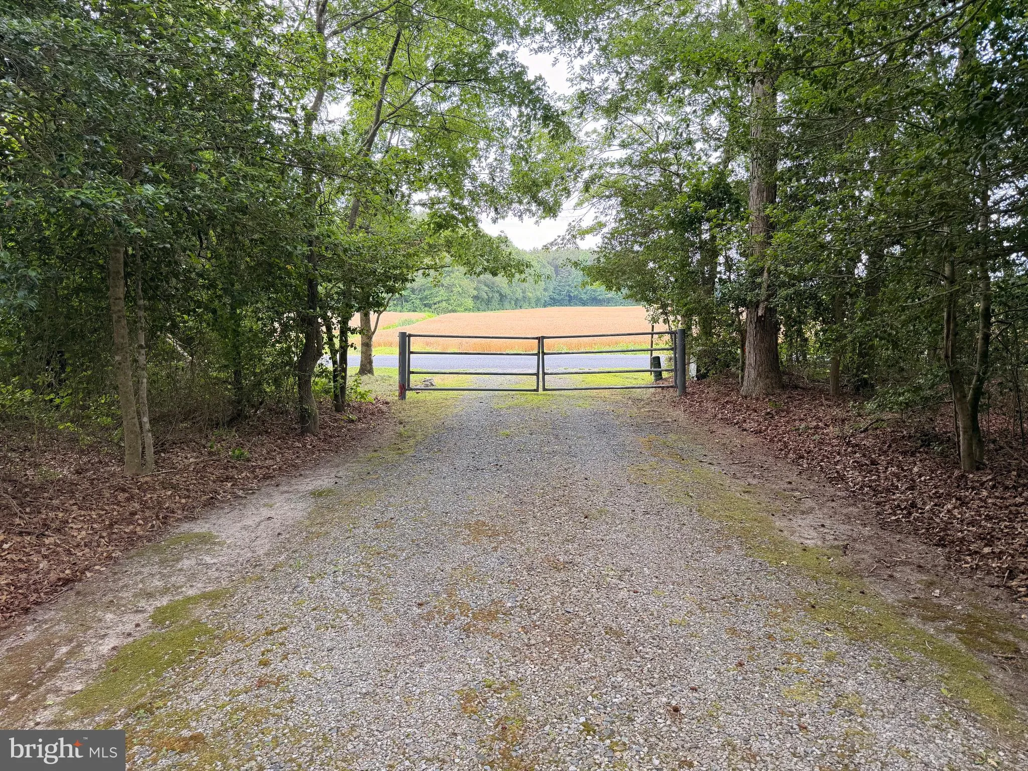 Additional image 53 of 20029 Little Hill Rd, Frankford, DE 19945