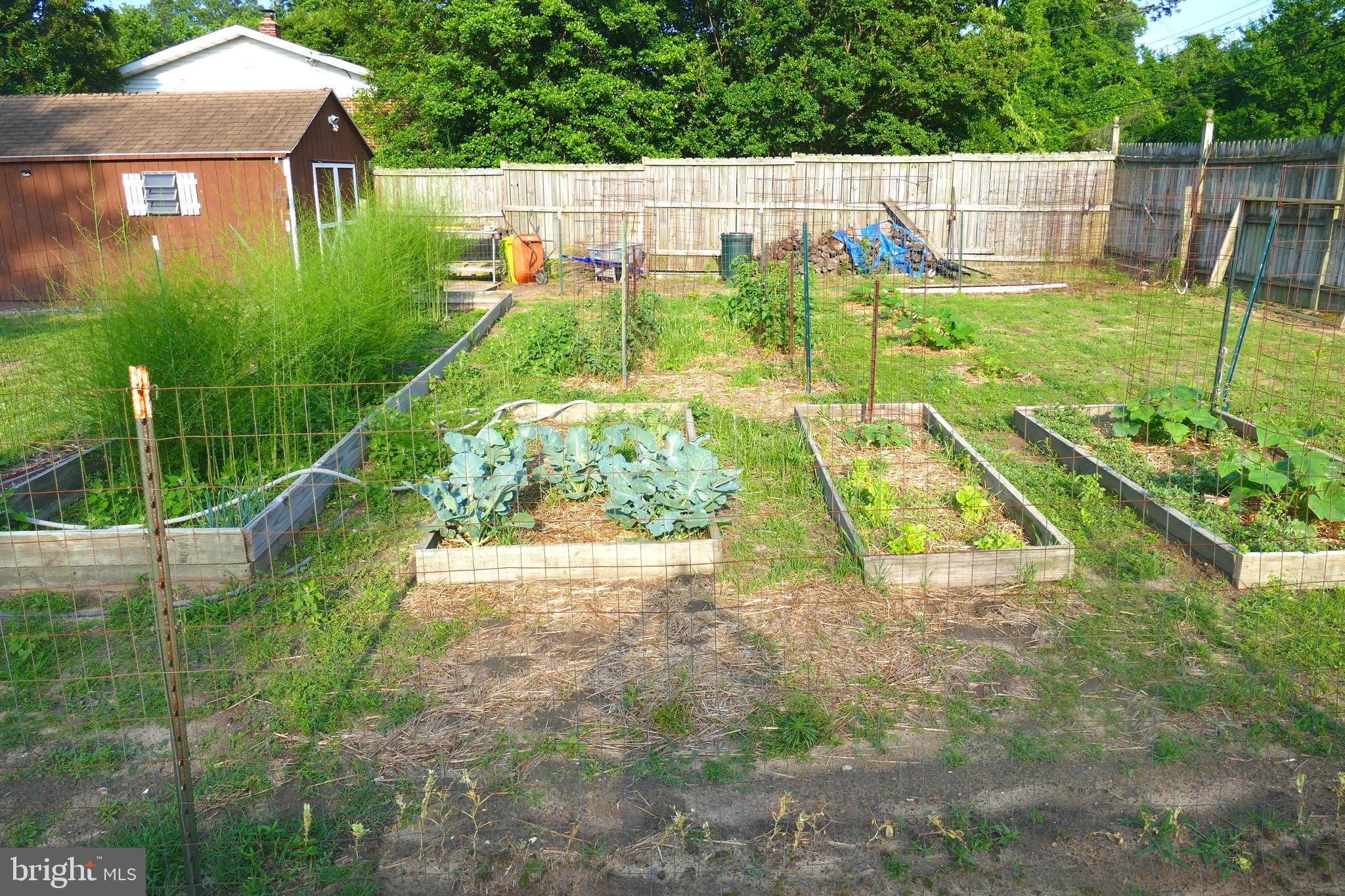 ROCKWOOD - Residential Lease