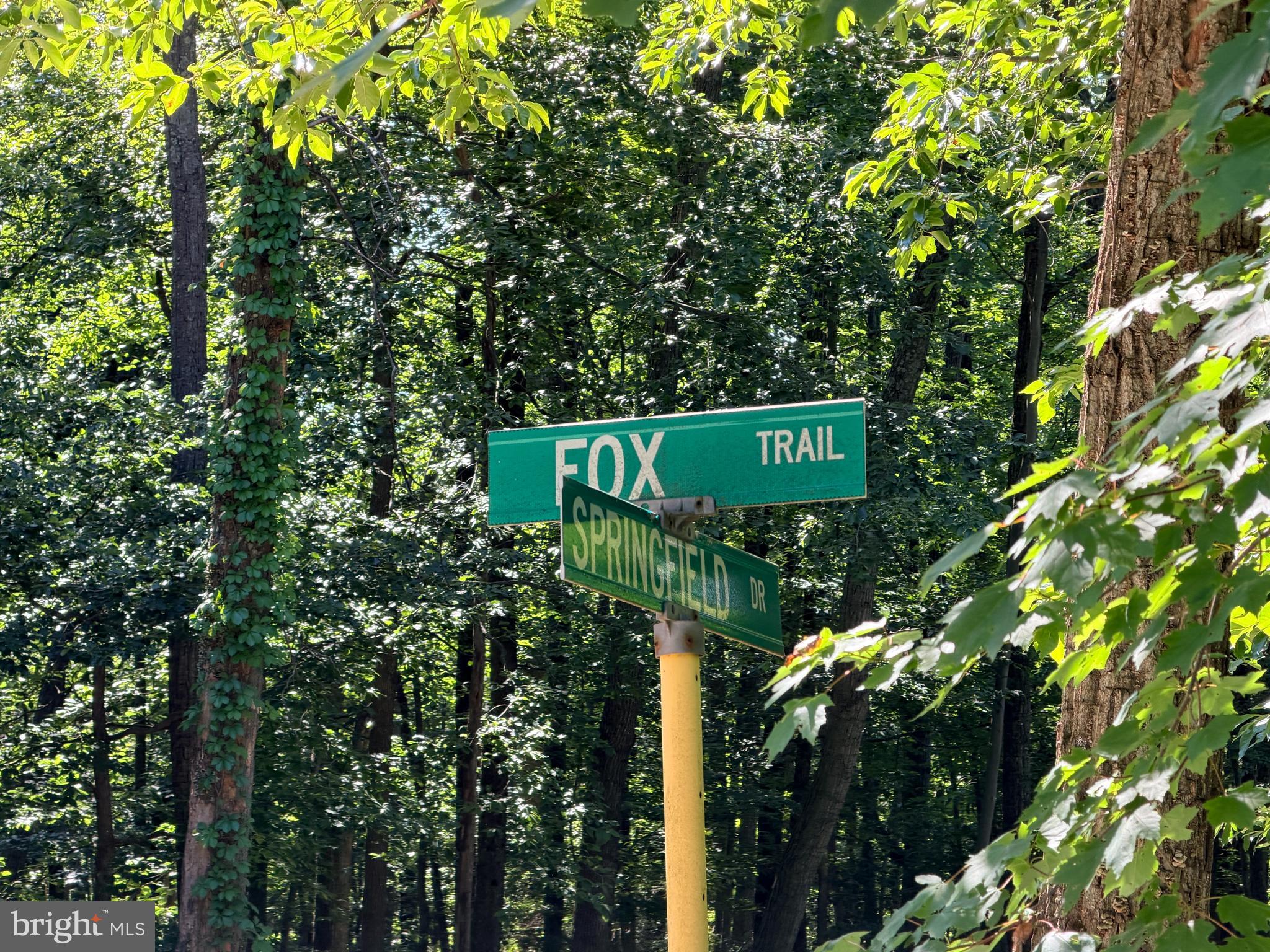 FOX TRAIL LOT 1