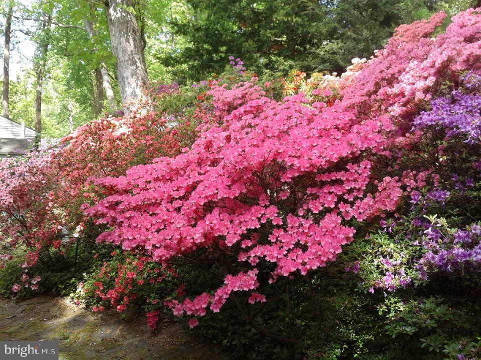 HILLANDALE - Residential