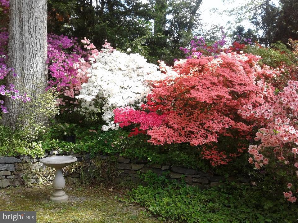 HILLANDALE - Residential